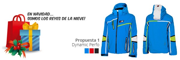 ideas-regalar-navidad-soll-dynamic